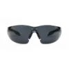 Gafas de seguridad solar Pegaso Omnis 205.02
