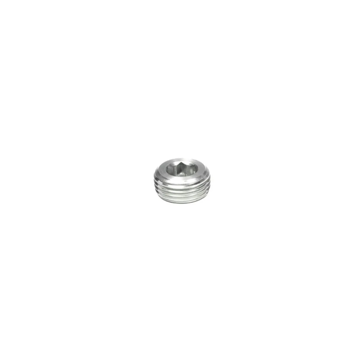 Tapón hexágono interior DIN-906 cincado