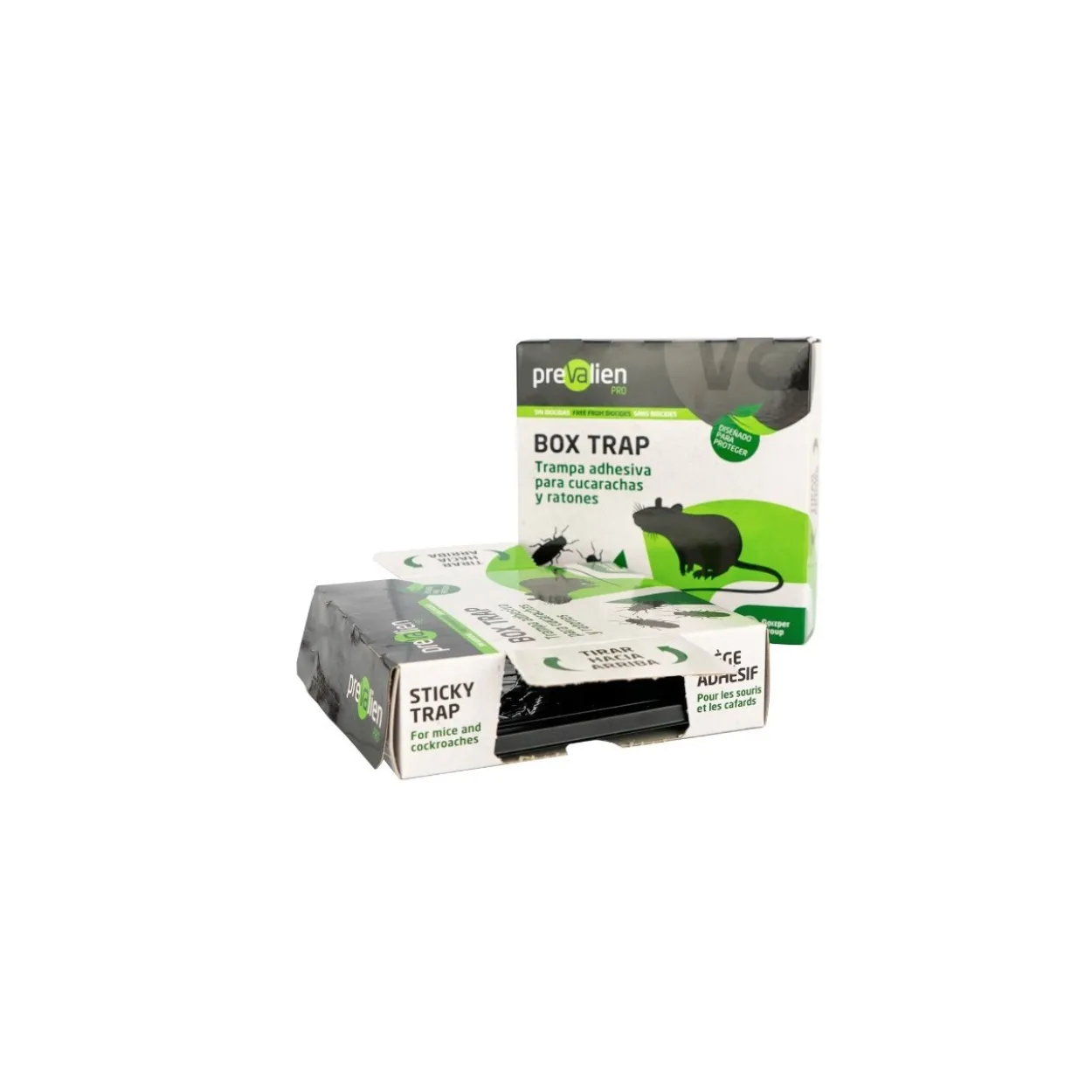 Trampa adhesiva Boxtrap Prevalien PRO