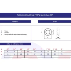 Tuerca hexagonal perfil bajo GAS BSP inoxidable