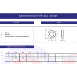 Tuerca hexagonal perfil bajo GAS BSP